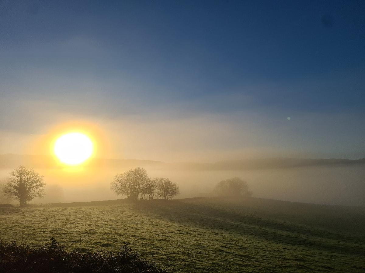 LE PETIT PRINCE D'ANTOINE DE SAINT-ÉXUPERY
